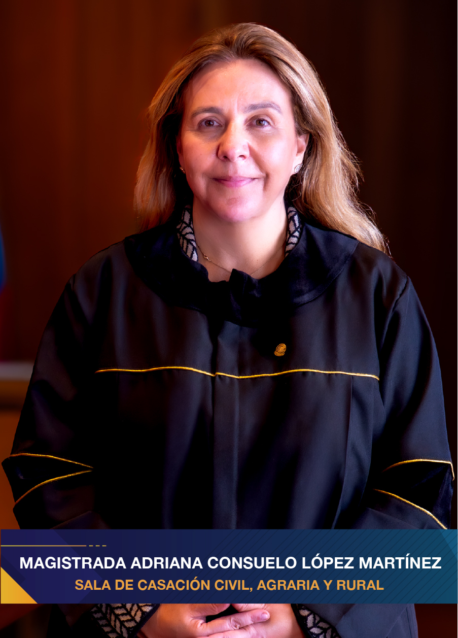 slide carousel sala civil 33