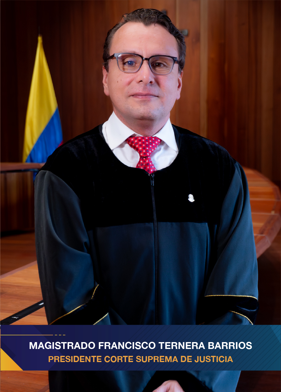 slide magistrados integrantes sala de gobierno 3